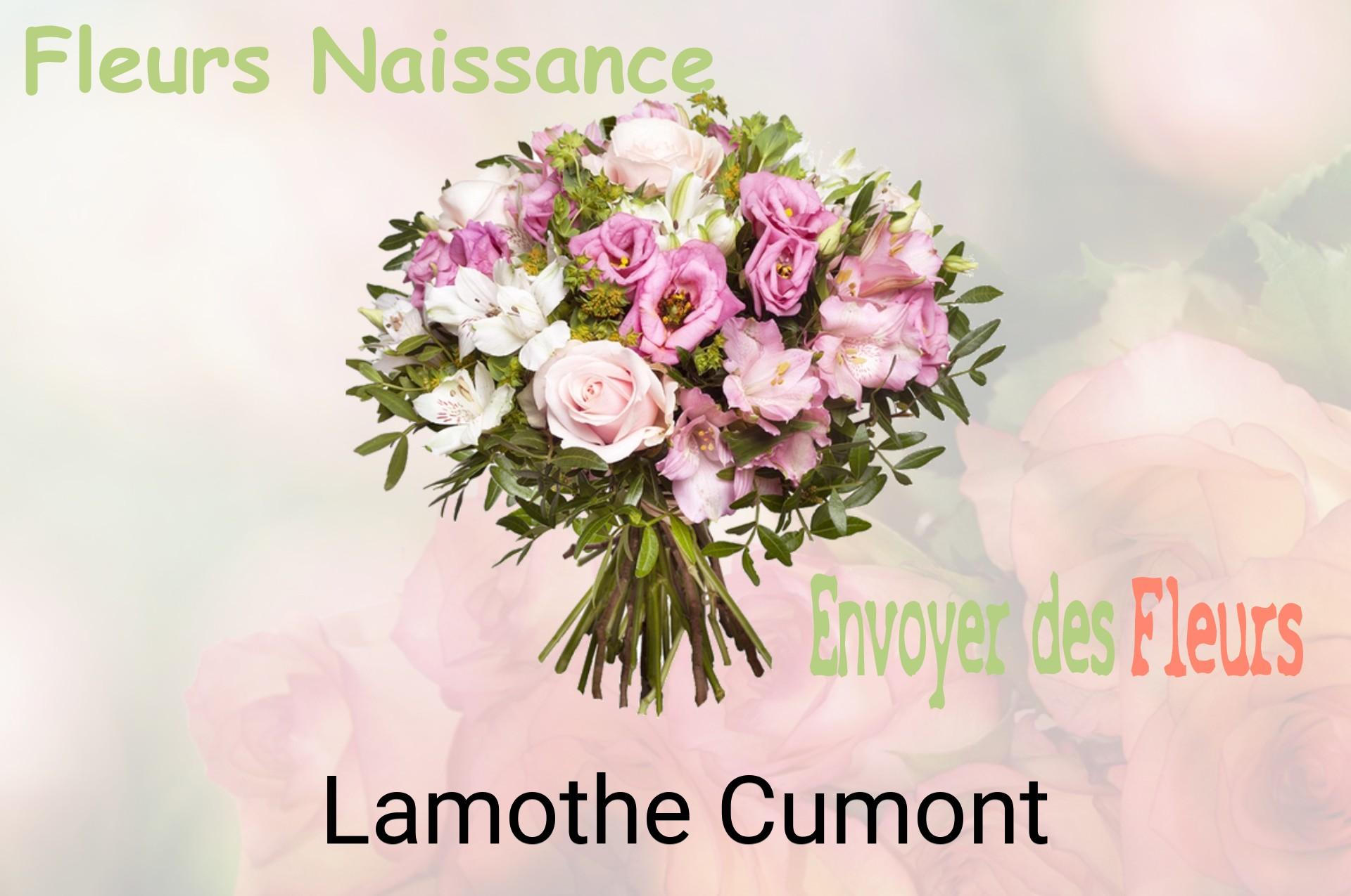 Bouquet de fleurs de naissance livré à Lamothe-Cumont